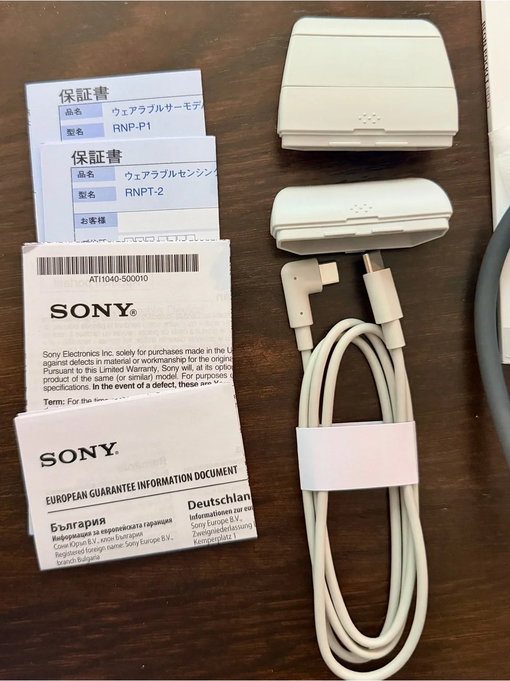 Sony reon pocket